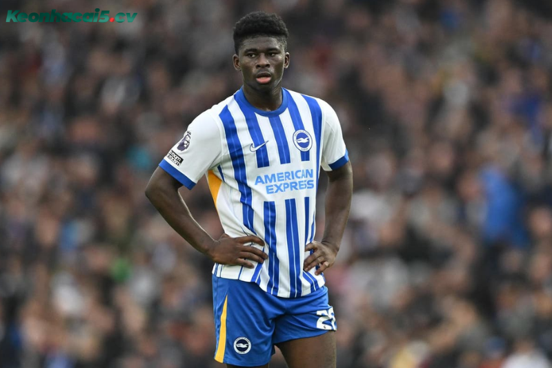 Đội hình dự kiến trước trận Brighton vs Sunderland Đội hình dự kiến trước trận Brighton vs Sunderland