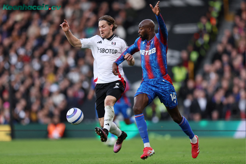 Đội hình dự kiến trước trận Fulham vs Crystal Palace Đội hình dự kiến trước trận Fulham vs Crystal Palace