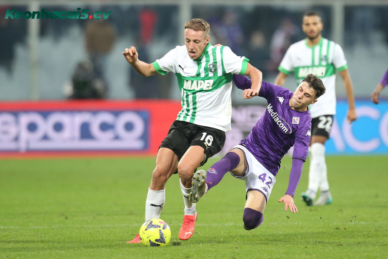 Đội hình dự kiến trước trận Sassuolo vs Fiorentina Đội hình dự kiến trước trận Sassuolo vs Fiorentina