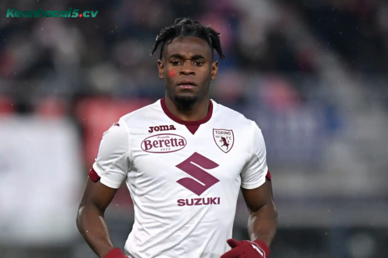 Đội hình dự kiến trước trận Torino vs Cagliari Đội hình dự kiến trước trận Torino vs Cagliari